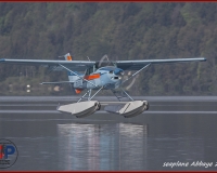 TSR Watermark - 0197